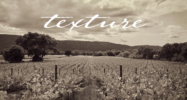 Photo of Texture Wines at the Repris Tasting Lounge