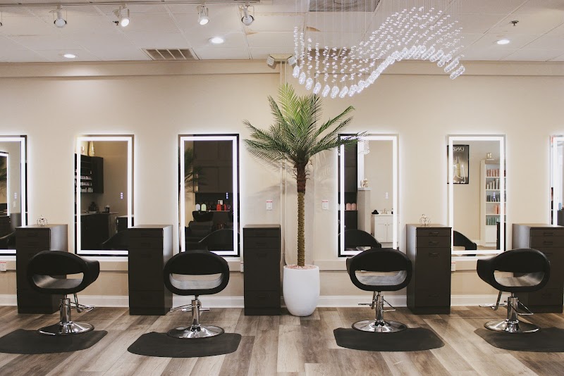 Shear Joy Salon Clearwater Beach photo 2