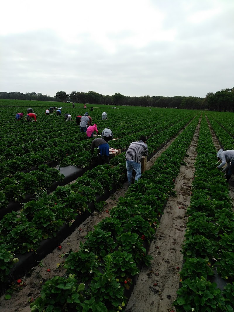 Sizemore Farms photo 4