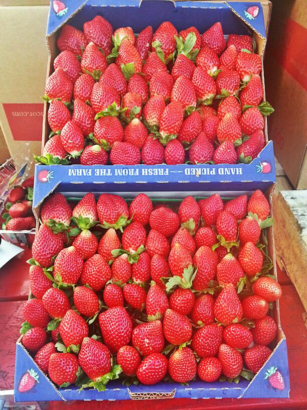 Photo of Sizemore Farms