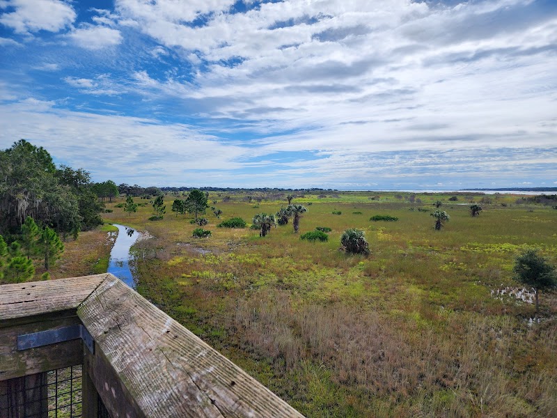 Lake Kissimmee State Park photo 2