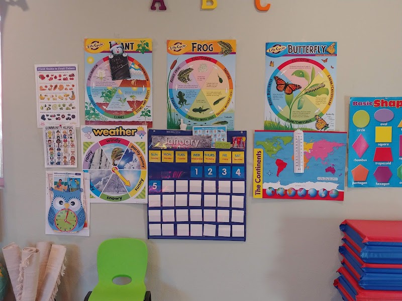 Little Learners Academy photo 5