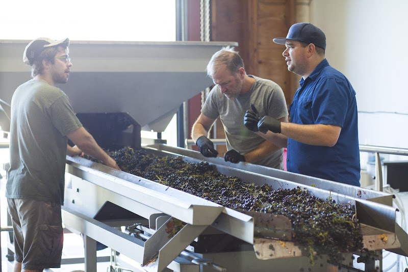 Donelan Family Wines photo 3