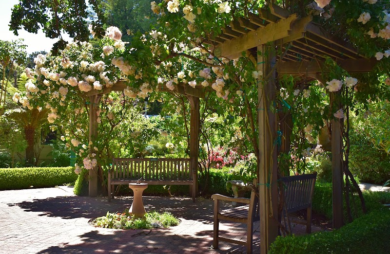 Photo of San Mateo Arboretum Society