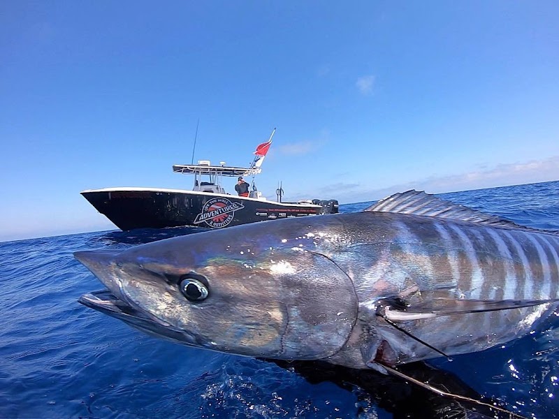 Off the Wall Adventures & Outfitters | Brandon Scuba photo 4