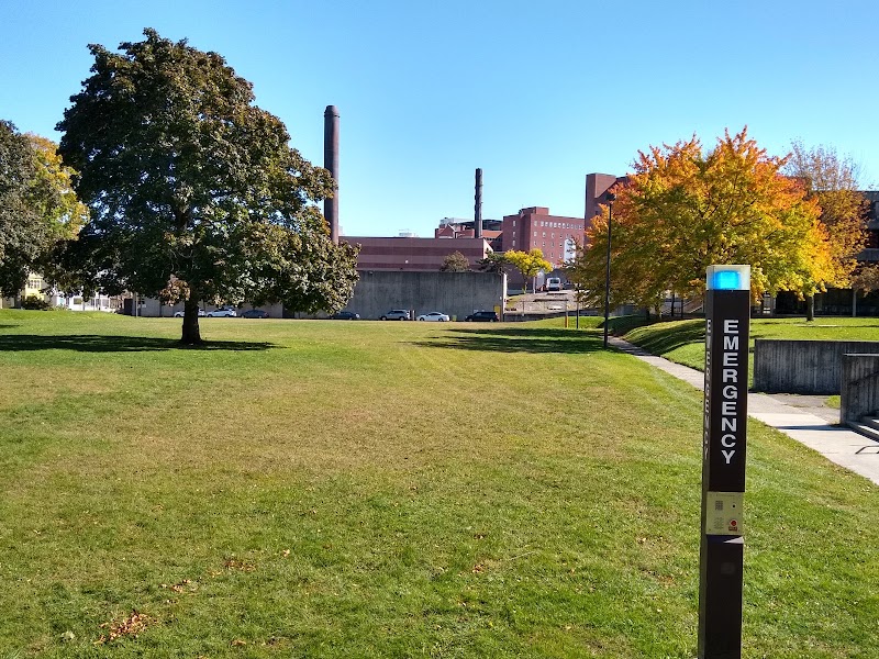 Albany Medical Center photo 5