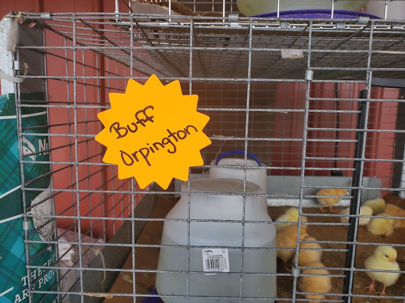 Farmers Feed Depot photo 3