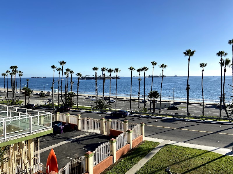 Long Beach Museum of Art photo 4