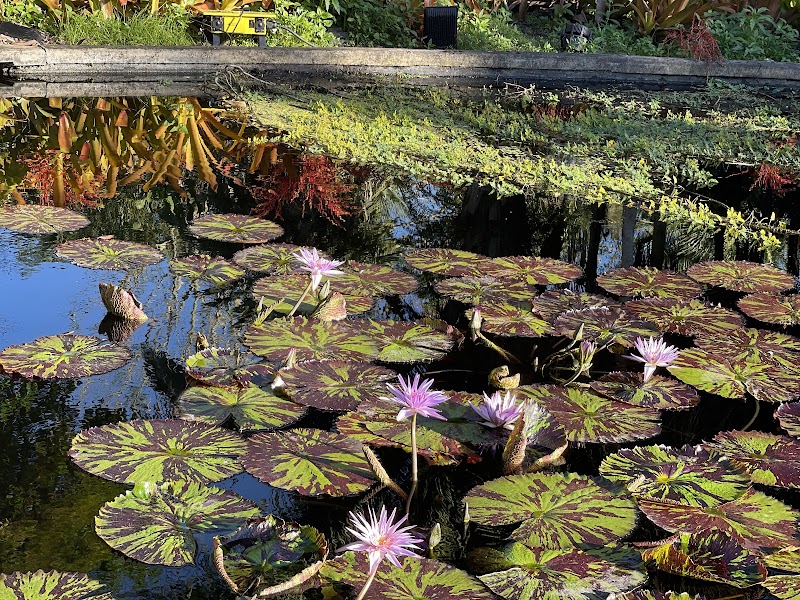 Naples Botanical Garden photo 4