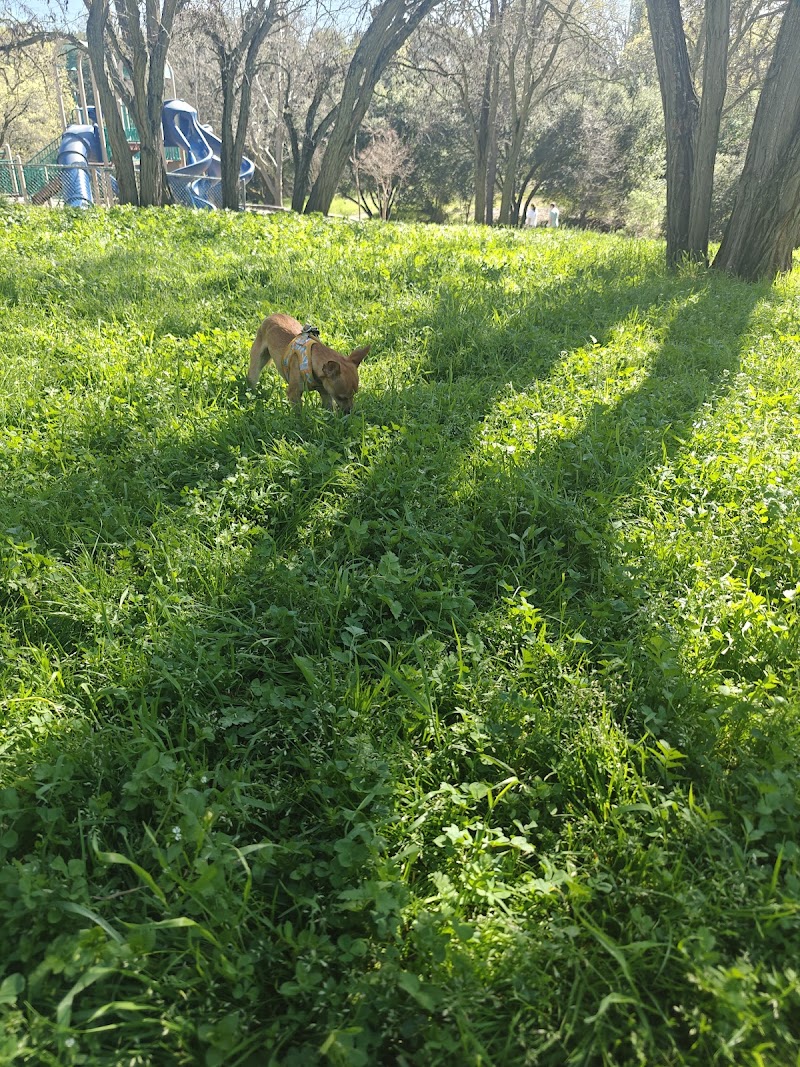 Brookwood Park Labyrinth photo 5