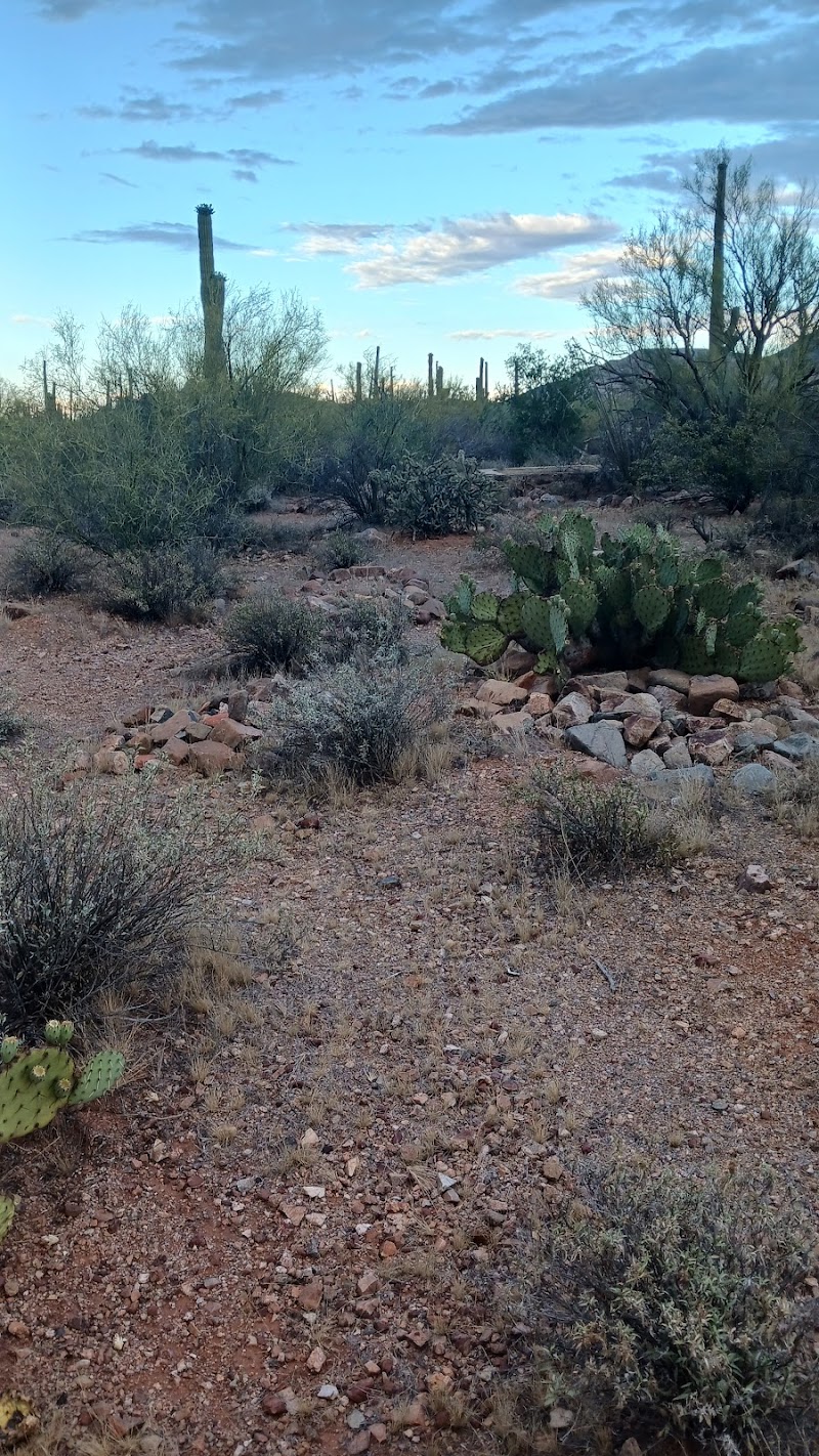 Silver Bell Cemetery photo 5