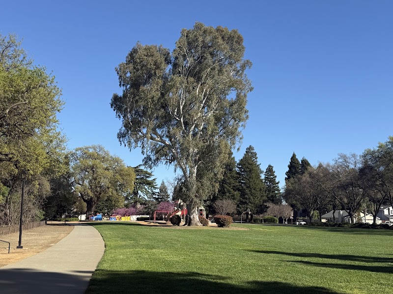 Hawkins Park photo 3