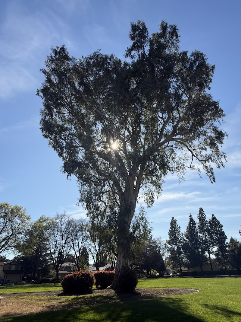 Hawkins Park photo 5