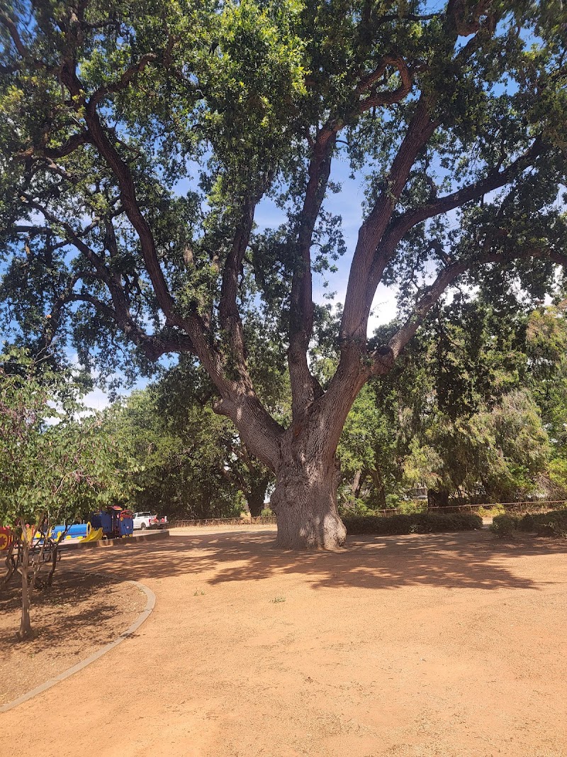 Hawkins Park photo 4