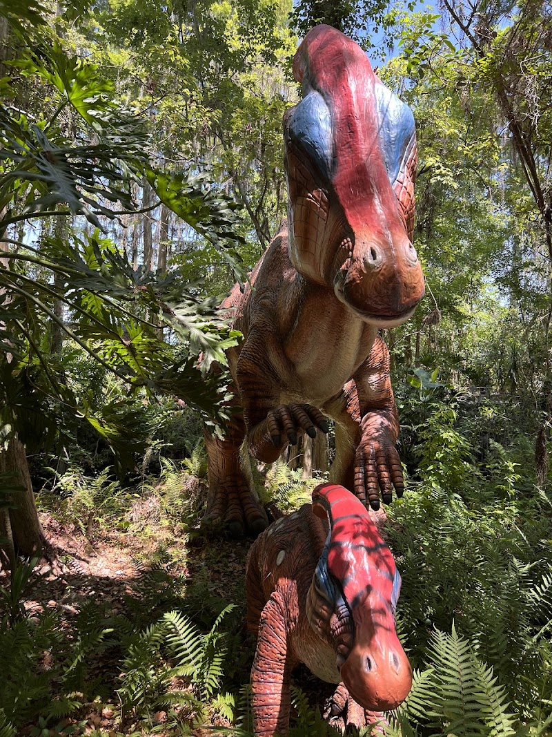 Dinosaur World photo 4