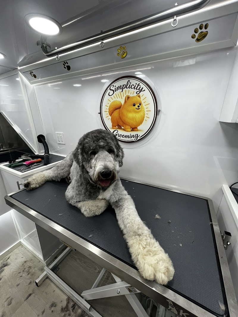 Simplicity Dog Grooming Services photo 4
