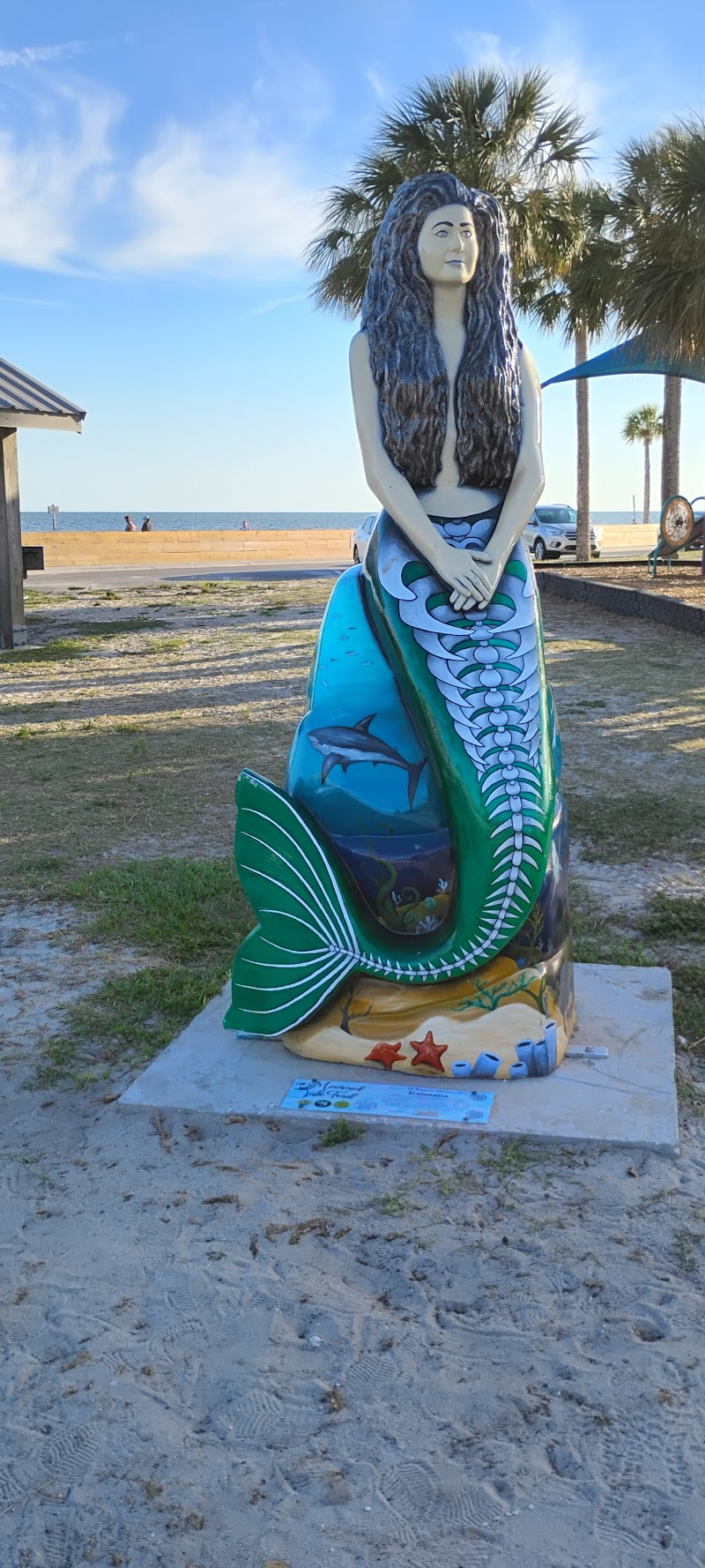 Pine island beach photo 5