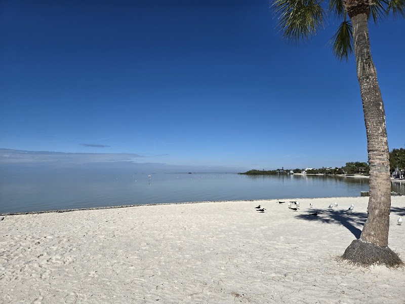 Pine island beach photo 3