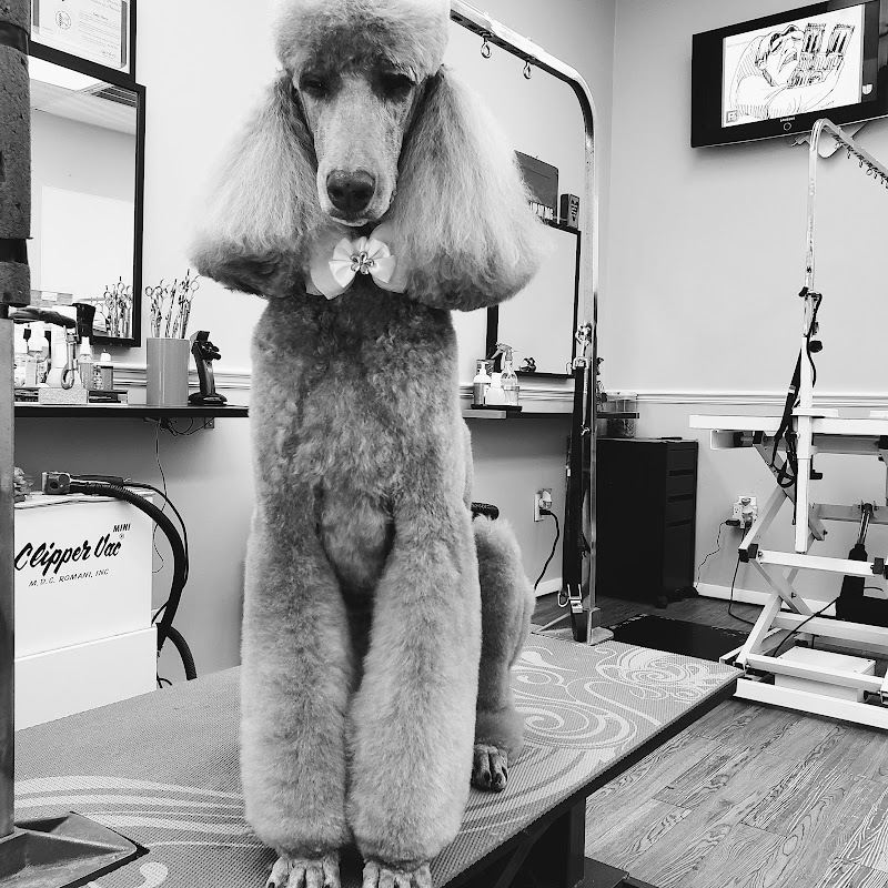 Photo of Havana Pet Salon and Spa