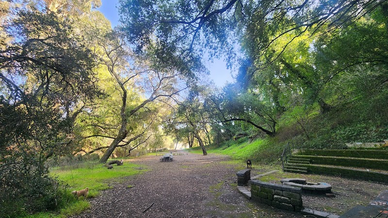 Photo of Bay Trees Park