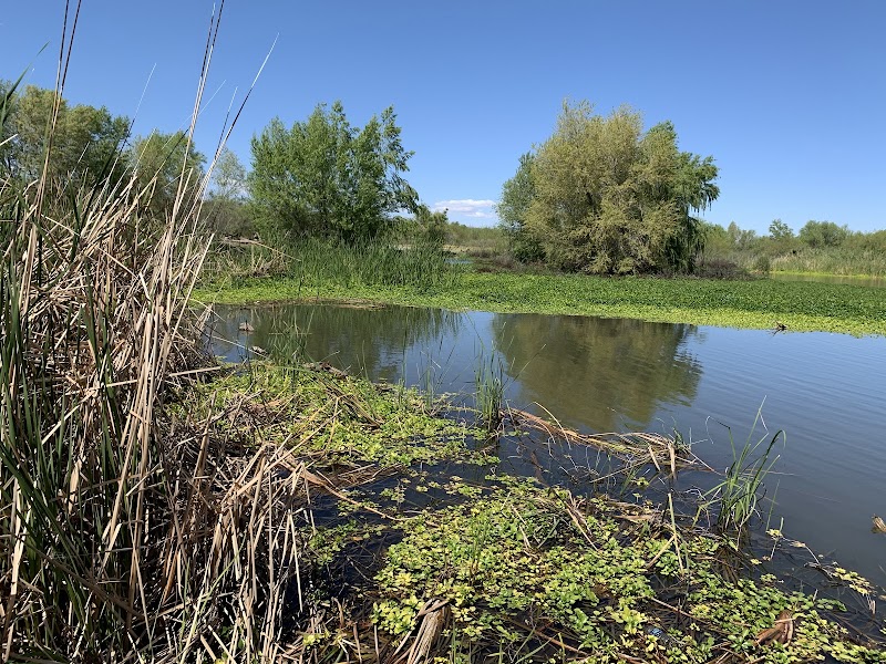 Base & Meridian Wildlife Area photo 2