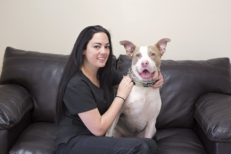 AA Animal ER Center photo 3