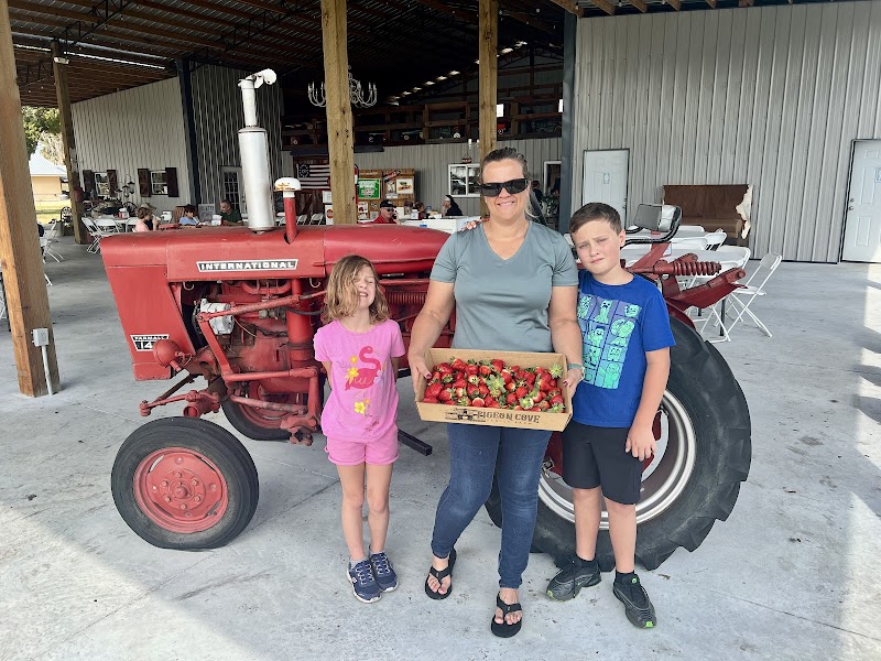 Pigeon Cove Family Farm photo 5