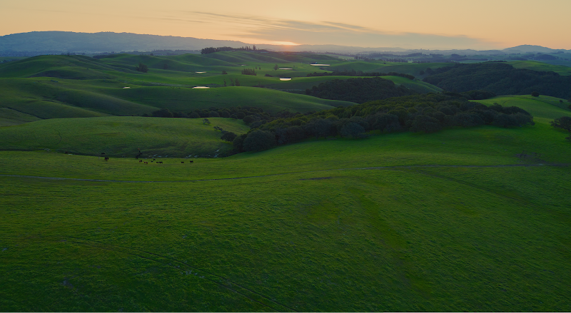 Photo of MacOS Sonoma Evening Wallpaper