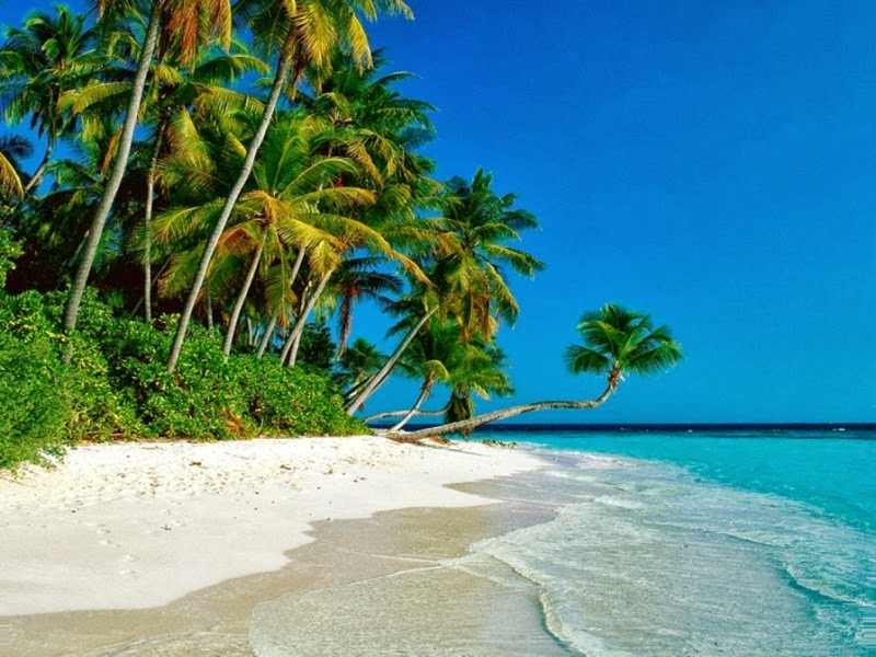 Photo of Coastal Spine and Rehab Center