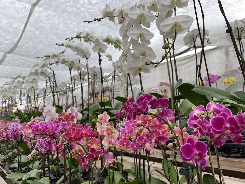 Half Moon Bay - Nursery photo 4