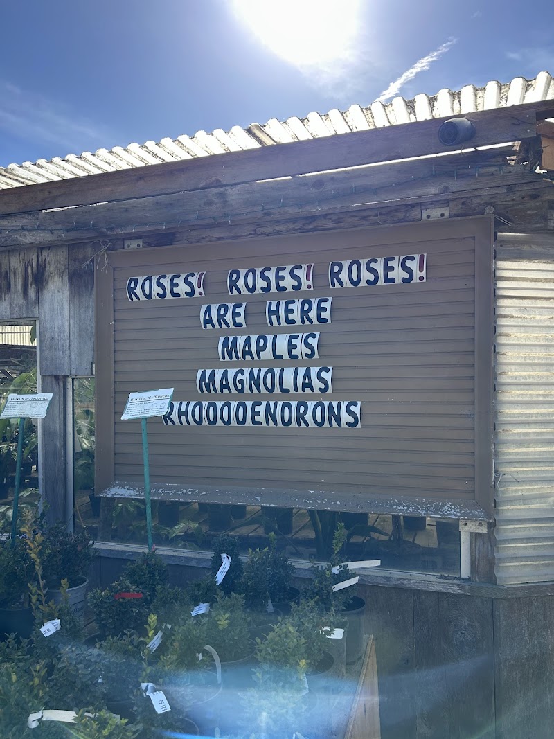 Photo of Half Moon Bay - Nursery