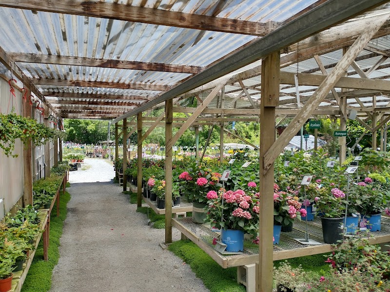 Half Moon Bay - Nursery photo 3