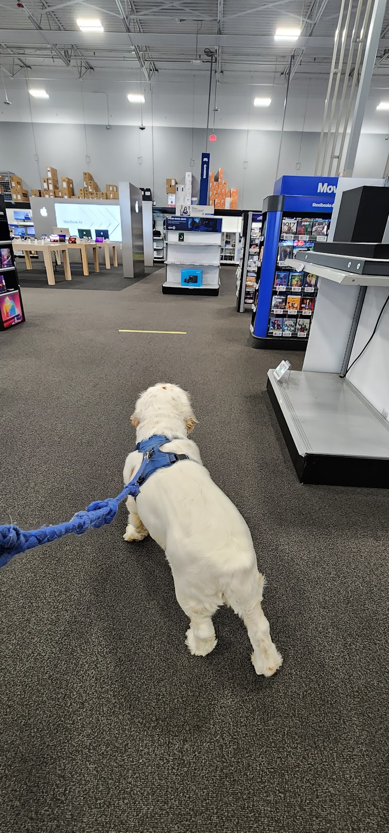 Best Buy photo 3