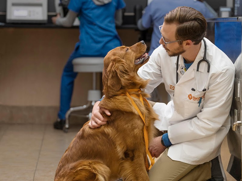 Banfield Pet Hospital photo 5