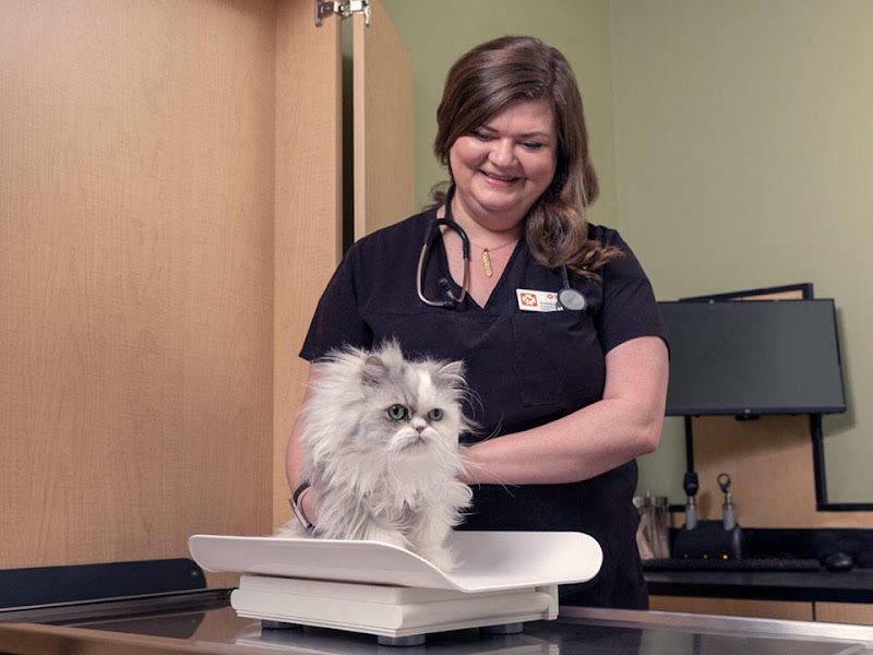 Banfield Pet Hospital photo 4