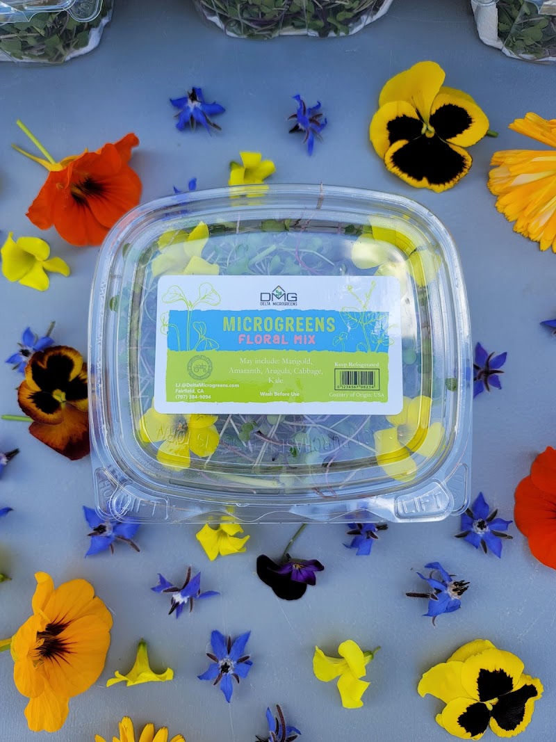 Delta Microgreens photo 3
