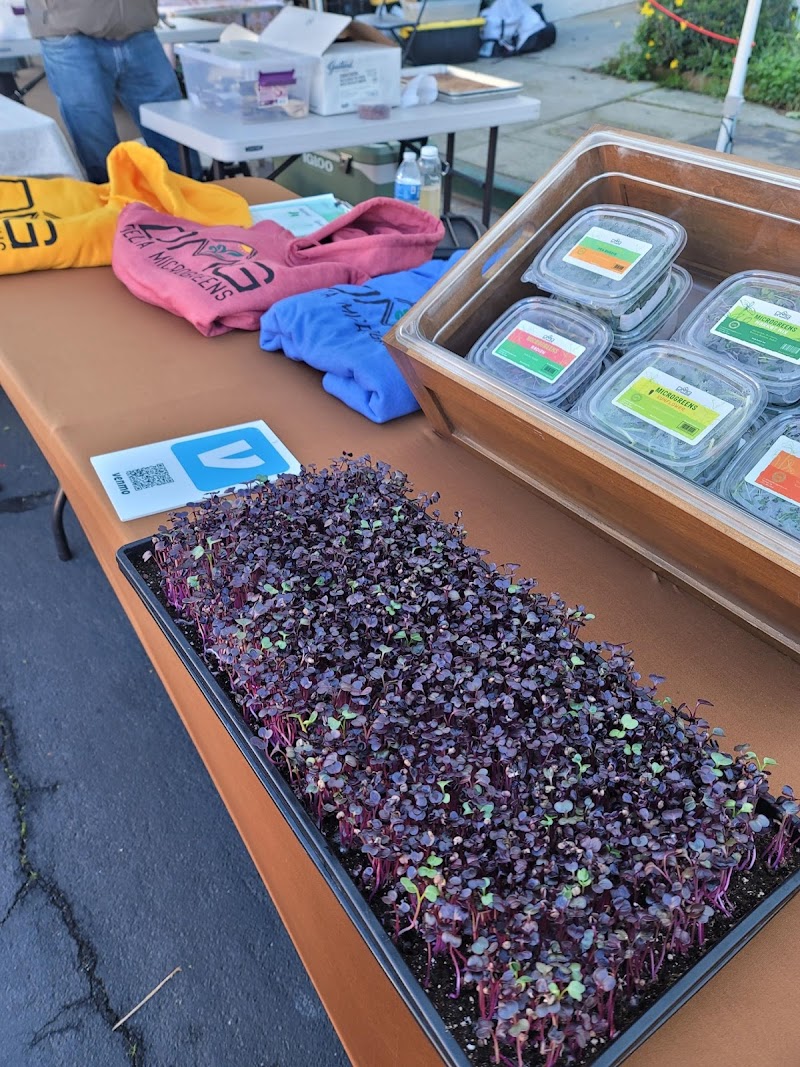 Delta Microgreens photo 5