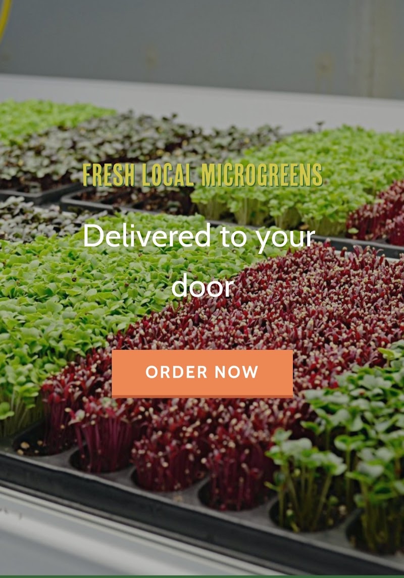Delta Microgreens photo 2