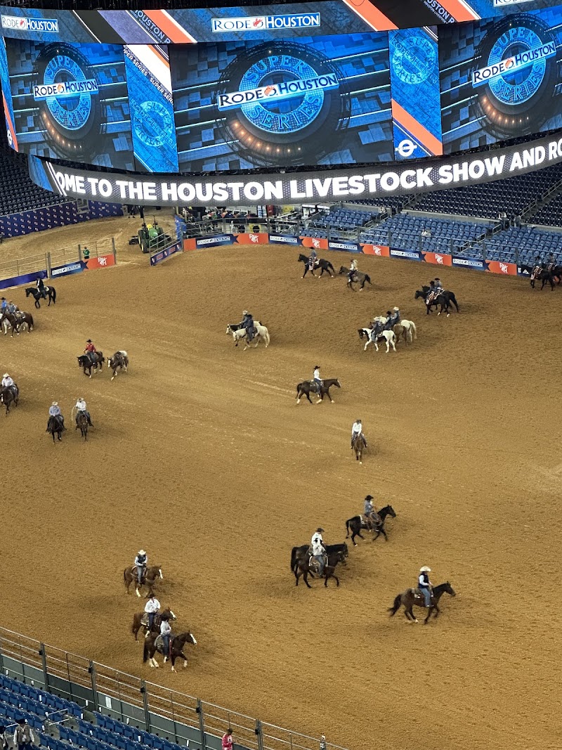 NRG Stadium-Rodeo photo 5