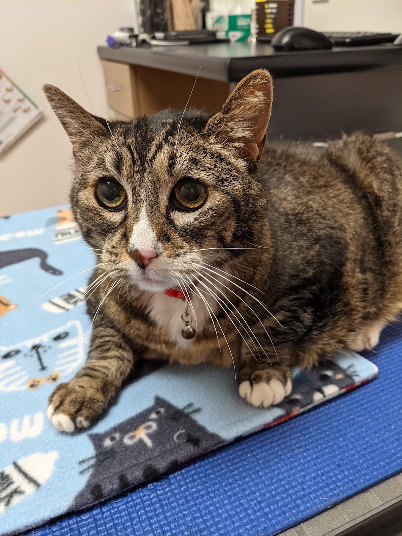 Four Corners Veterinary Hospital photo 5