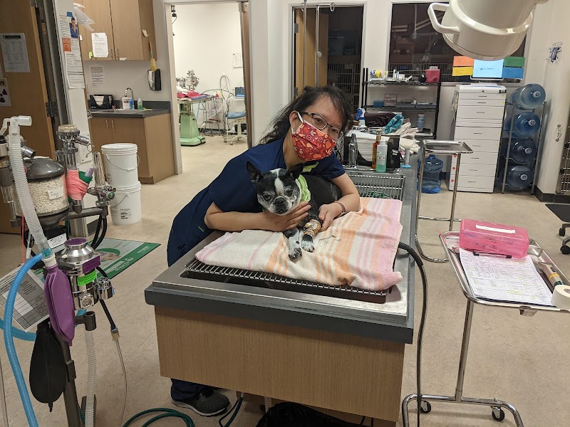 Four Corners Veterinary Hospital photo 3