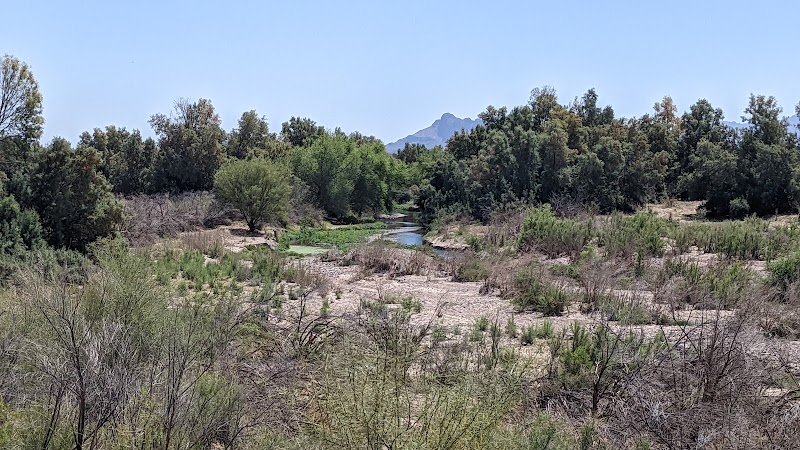 Photo of Santa Cruz River Park Trail