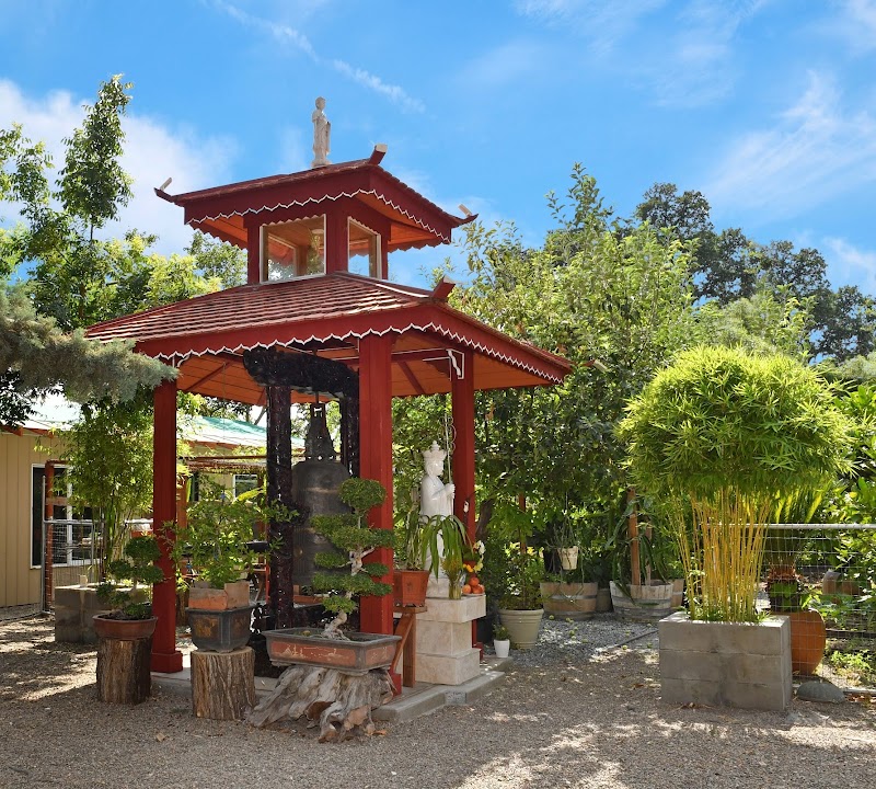 Paramita Buddhist Monastery (Chùa Ba La Mật Đa) photo 3