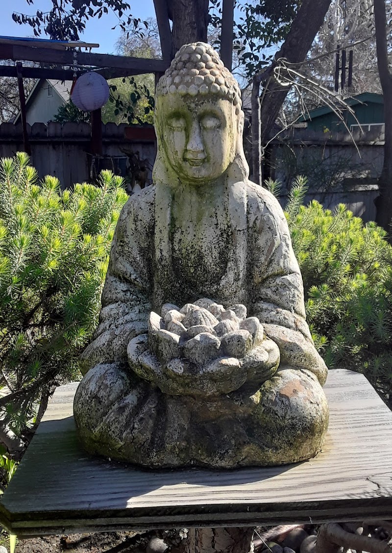Paramita Buddhist Monastery (Chùa Ba La Mật Đa) photo 4