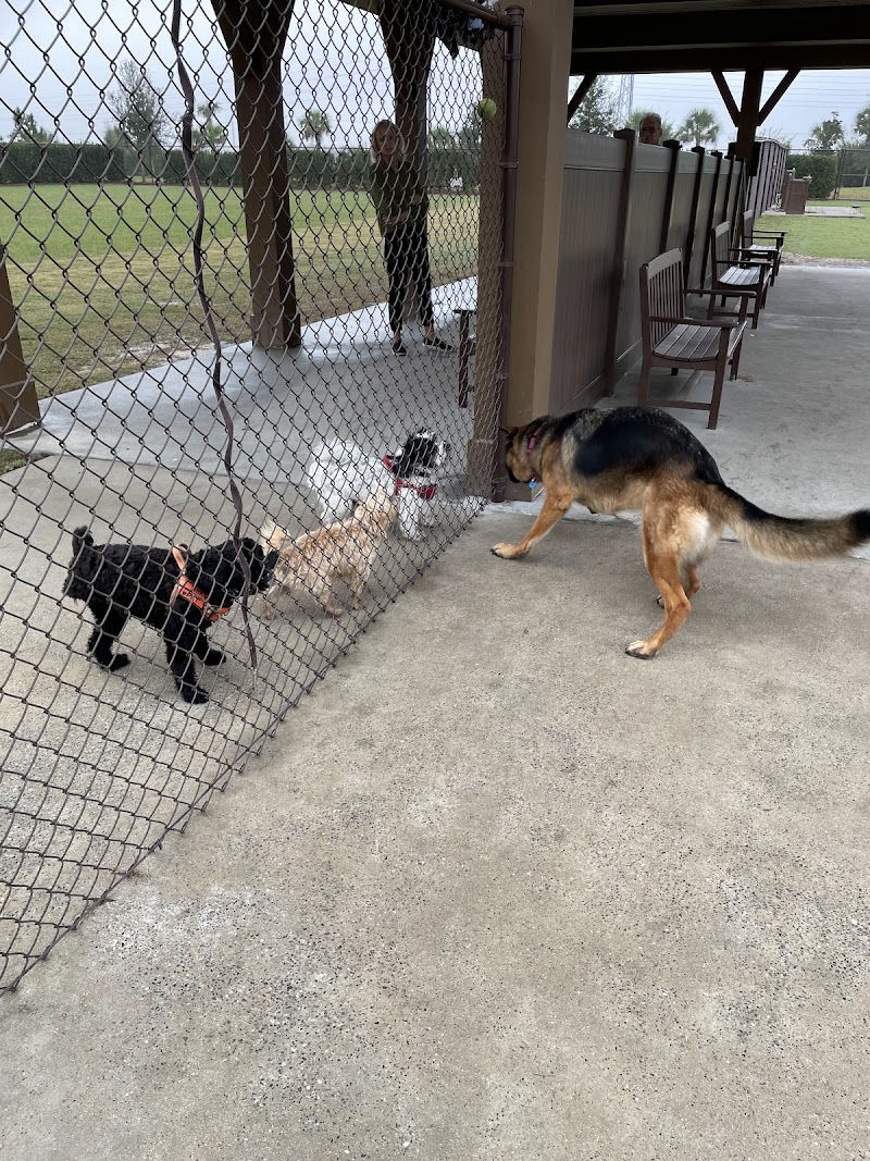 Rupert Canine Park photo 2