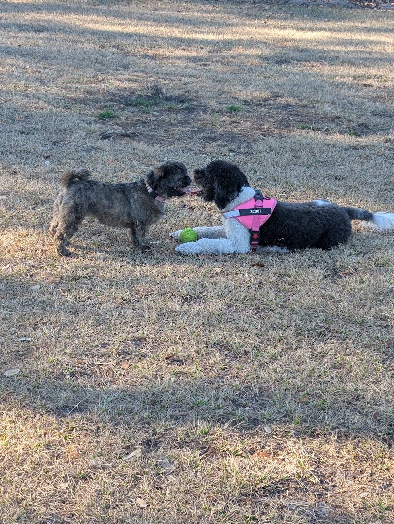 Rupert Canine Park photo 5