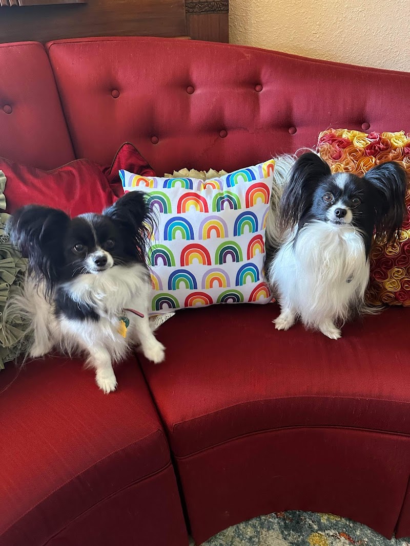 Sonoma Valley Pet Clinic photo 2