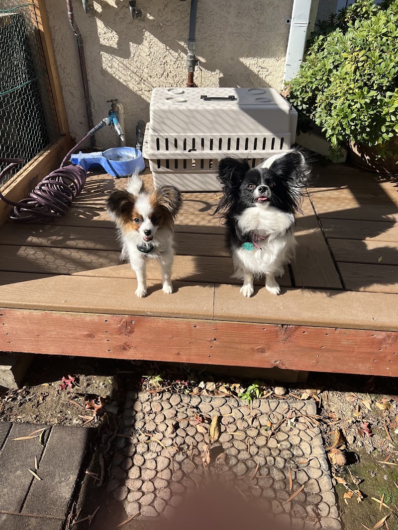 Sonoma Valley Pet Clinic photo 4