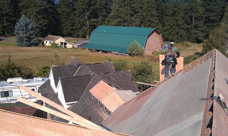 TP1 Roofing Company photo 3