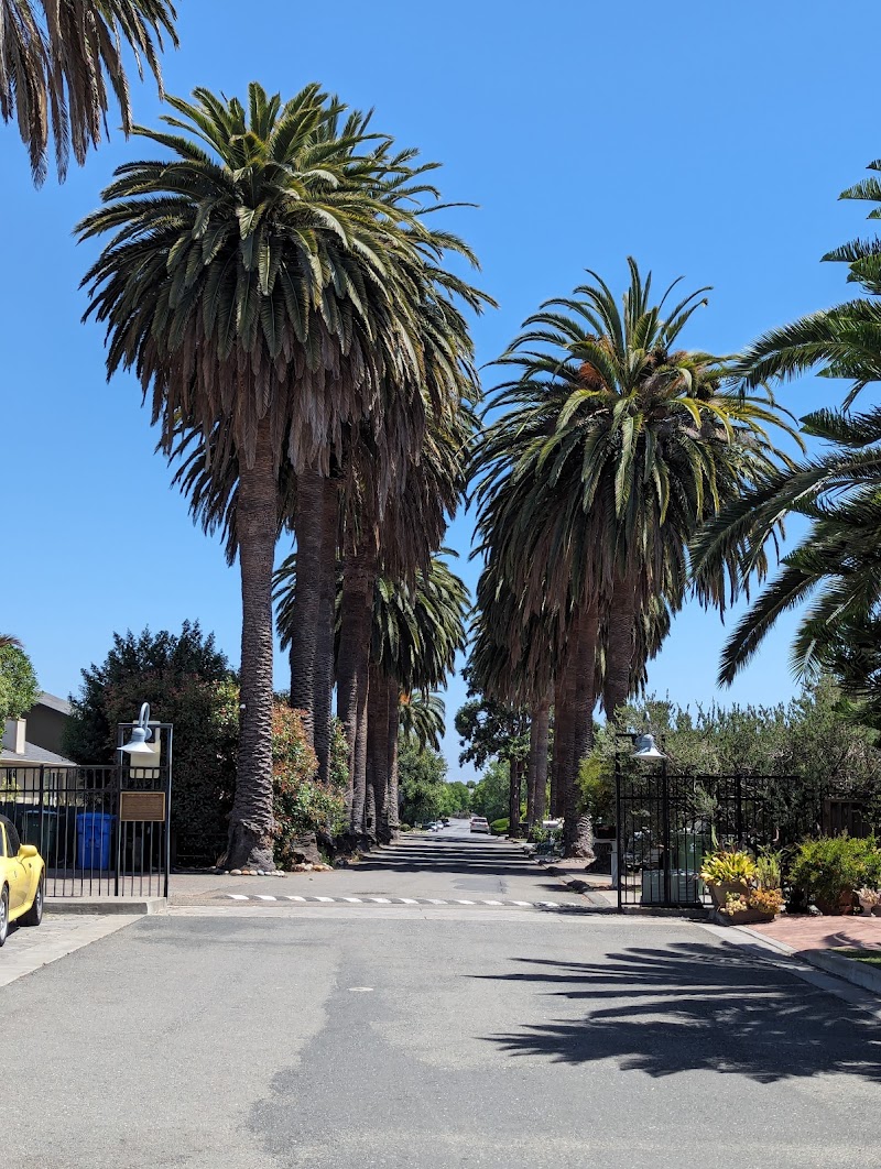 Henry Curtner Mansion photo 3